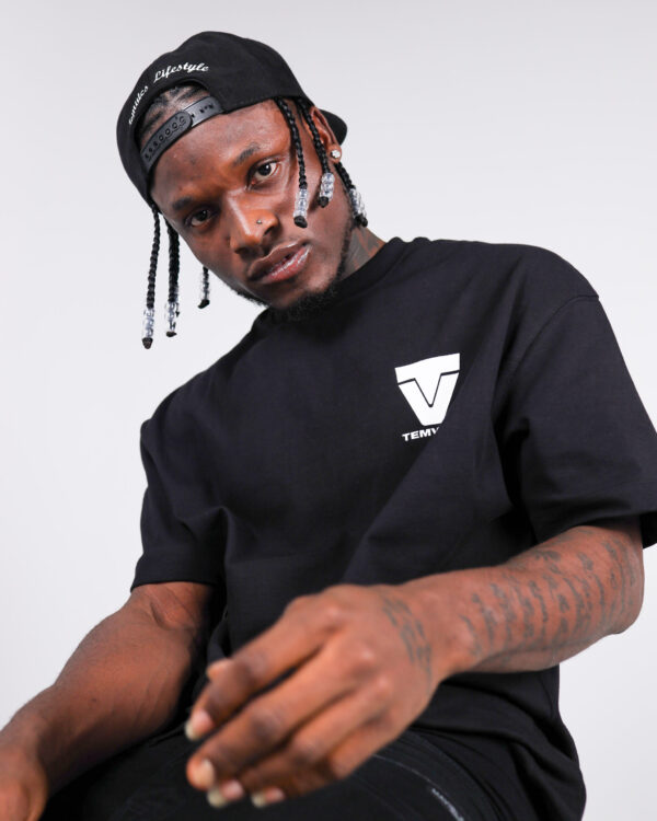 Temvics Logo Print