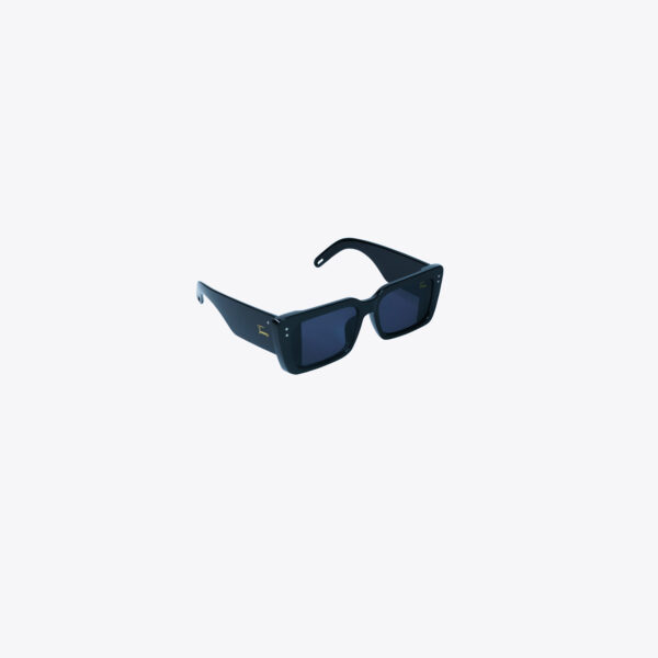 Expression Eyewear Black/Black Sun Glasses