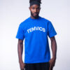 Temvics Brand Name