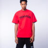Temvics Brand Name